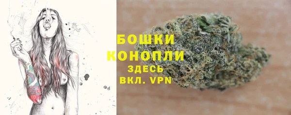 дживик Абаза