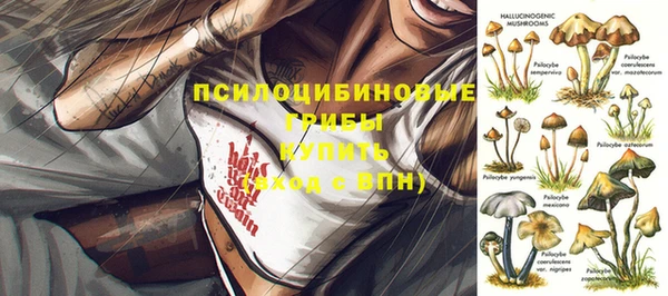 дживик Абаза