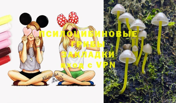 гашик Алзамай