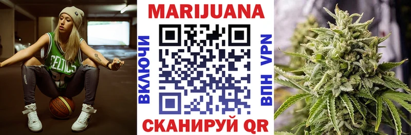 как найти   Отрадное  Марихуана ГИДРОПОН 